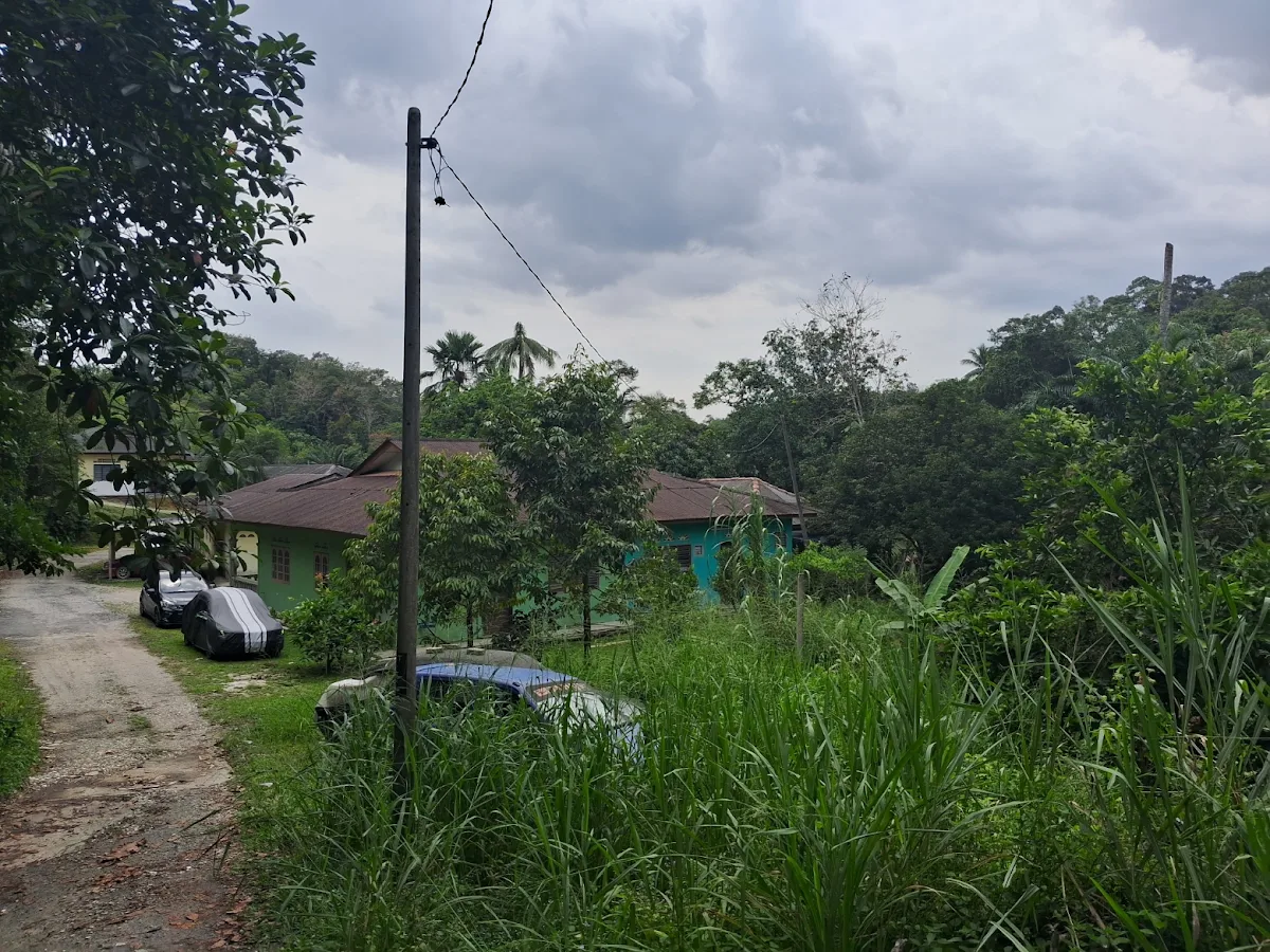 Orchard Land + 4 Houses 5/7